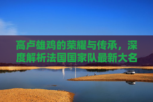 高卢雄鸡的荣耀与传承,深度解析法国国家队最新大名单