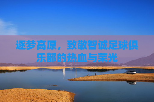 逐梦高原,致敬智诚足球俱乐部的热血与荣光