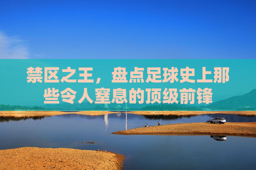 禁区之王,盘点足球史上那些令人窒息的顶级前锋