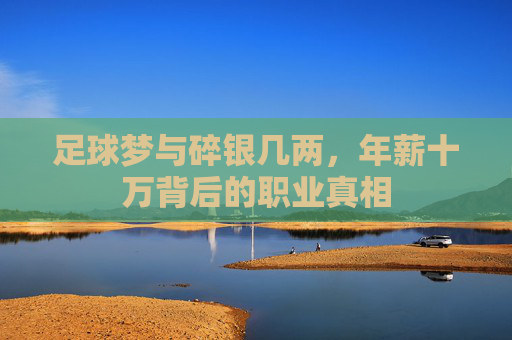 足球梦与碎银几两,年薪十万背后的职业真相