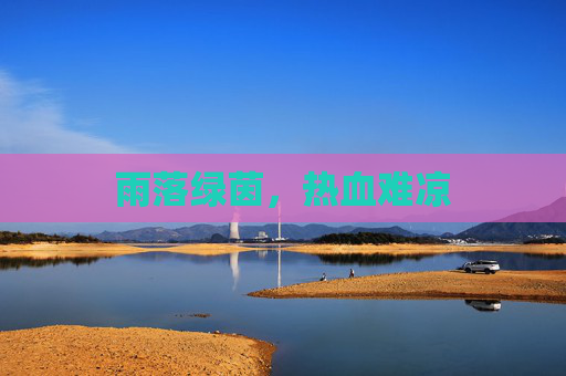 雨落绿茵,热血难凉