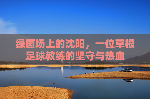绿茵场上的沈阳,一位草根足球教练的坚守与热血