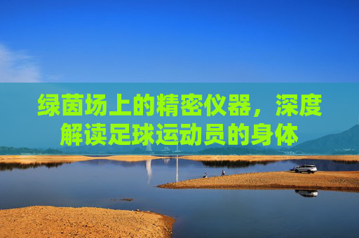 绿茵场上的精密仪器,深度解读足球运动员的身体
