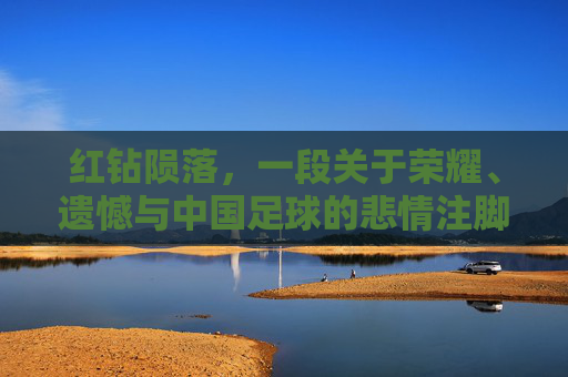 红钻陨落,一段关于荣耀、遗憾与中国足球的悲情注脚