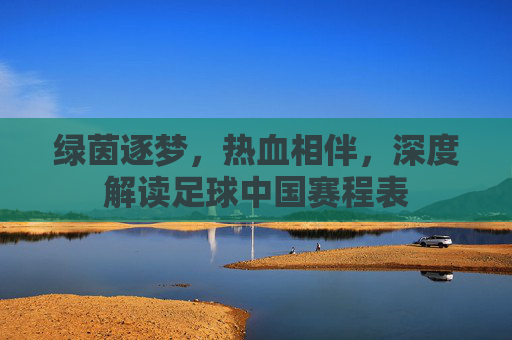 绿茵逐梦,热血相伴,深度解读足球中国赛程表