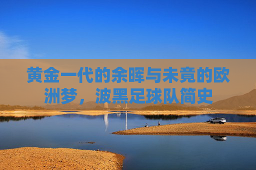 黄金一代的余晖与未竟的欧洲梦，波黑足球队简史