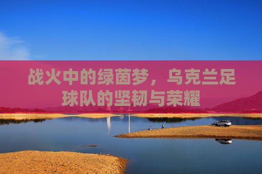 战火中的绿茵梦,乌克兰足球队的坚韧与荣耀
