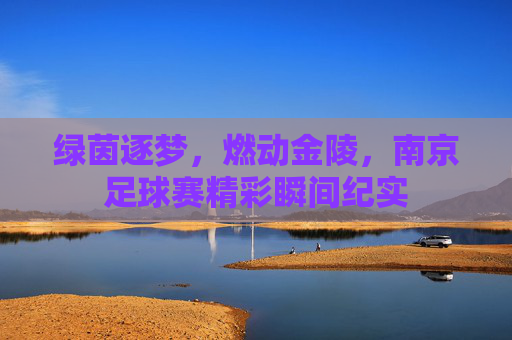 绿茵逐梦，燃动金陵，南京足球赛精彩瞬间纪实