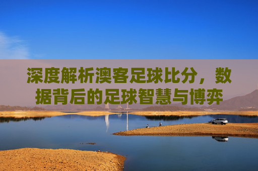 深度解析澳客足球比分,数据背后的足球智慧与博弈