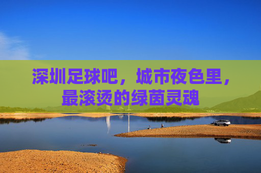 深圳足球吧,城市夜色里,最滚烫的绿茵灵魂