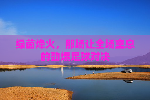 绿茵烽火,那场让全场窒息的劲爆足球对决
