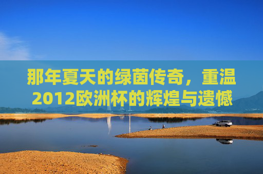 那年夏天的绿茵传奇,重温2012欧洲杯的辉煌与遗憾
