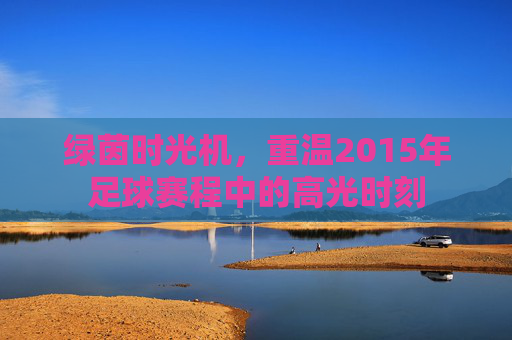 绿茵时光机，重温2015年足球赛程中的高光时刻