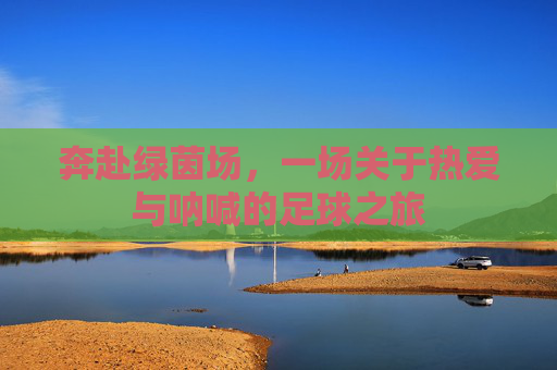 奔赴绿茵场，一场关于热爱与呐喊的足球之旅