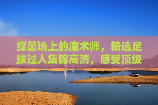 绿茵场上的魔术师，精选足球过人集锦高清，感受顶级球星的无解盘带