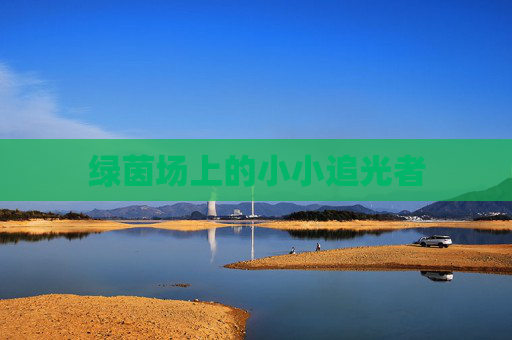 绿茵场上的小小追光者