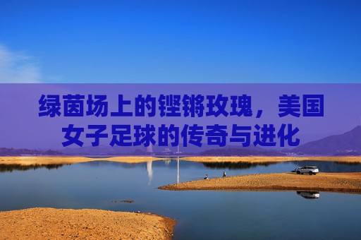 绿茵场上的铿锵玫瑰,美国女子足球的传奇与进化