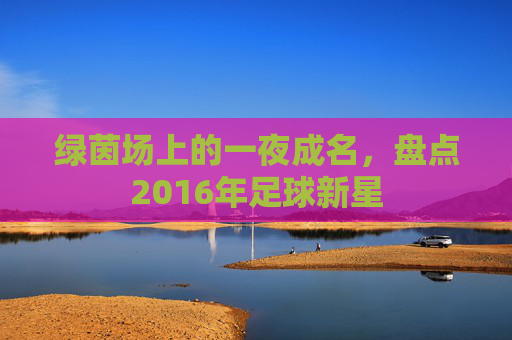 绿茵场上的一夜成名,盘点2016年足球新星