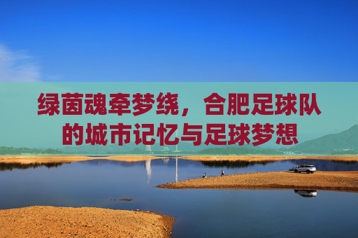 绿茵魂牵梦绕,合肥足球队的城市记忆与足球梦想
