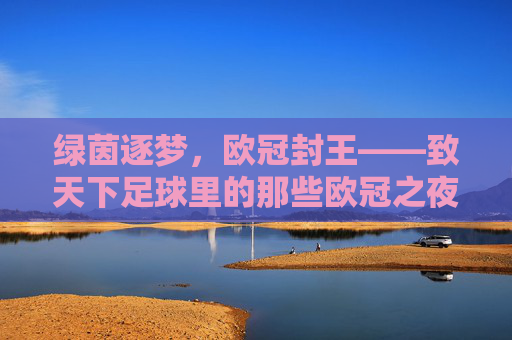 绿茵逐梦,欧冠封王——致天下足球里的那些欧冠之夜