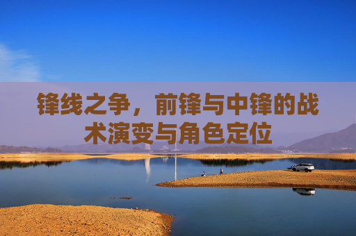 锋线之争,前锋与中锋的战术演变与角色定位