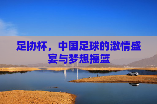 足协杯,中国足球的激情盛宴与梦想摇篮