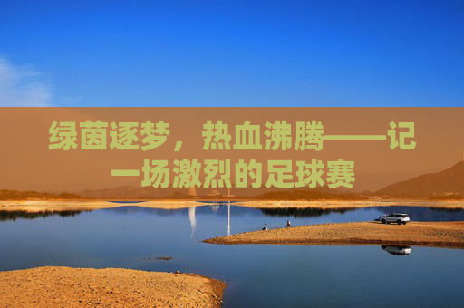 绿茵逐梦,热血沸腾——记一场激烈的足球赛