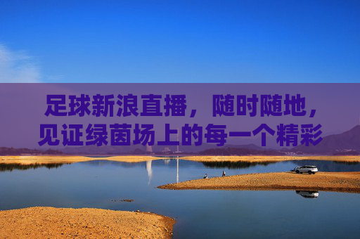 足球新浪直播,随时随地,见证绿茵场上的每一个精彩瞬间