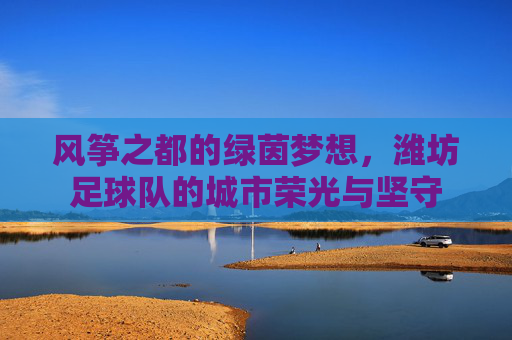 风筝之都的绿茵梦想,潍坊足球队的城市荣光与坚守
