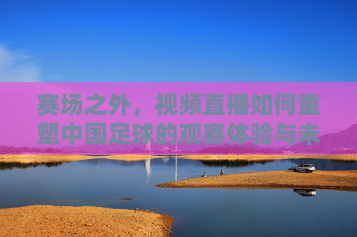 赛场之外，视频直播如何重塑中国足球的观赛体验与未来