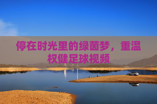 停在时光里的绿茵梦,重温权健足球视频