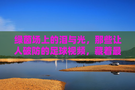 绿茵场上的泪与光,那些让人破防的足球视频,藏着最纯粹的热爱