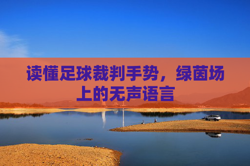 读懂足球裁判手势,绿茵场上的无声语言