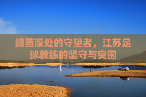 绿茵深处的守望者,江苏足球教练的坚守与突围