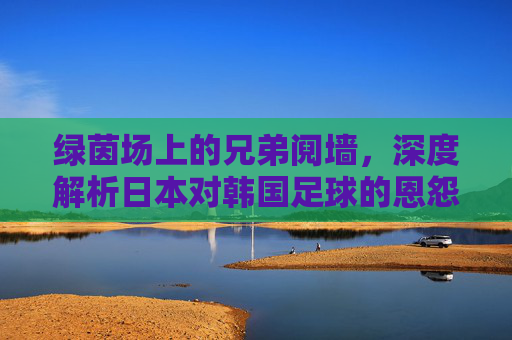 绿茵场上的兄弟阋墙，深度解析日本对韩国足球的恩怨与宿命