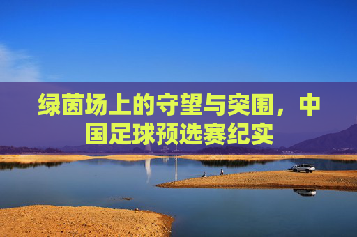 绿茵场上的守望与突围,中国足球预选赛纪实