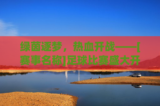 绿茵逐梦，热血开战——[赛事名称]足球比赛盛大开幕
