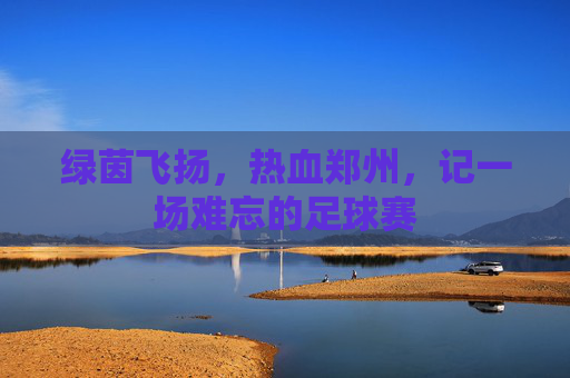 绿茵飞扬,热血郑州,记一场难忘的足球赛