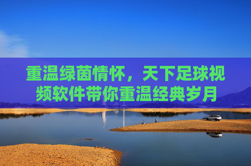 重温绿茵情怀,天下足球视频软件带你重温经典岁月