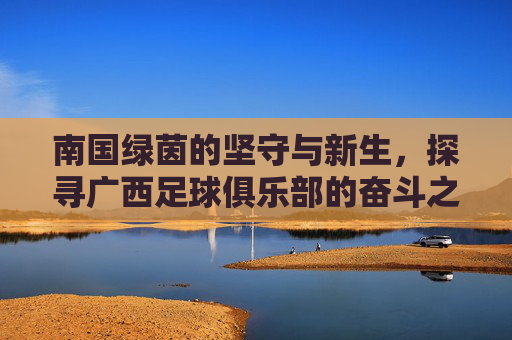 南国绿茵的坚守与新生,探寻广西足球俱乐部的奋斗之路