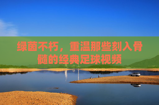 绿茵不朽，重温那些刻入骨髓的经典足球视频