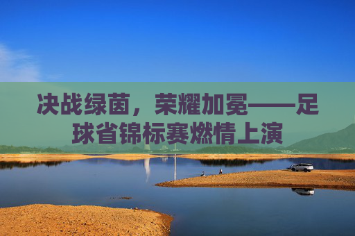 决战绿茵,荣耀加冕——足球省锦标赛燃情上演