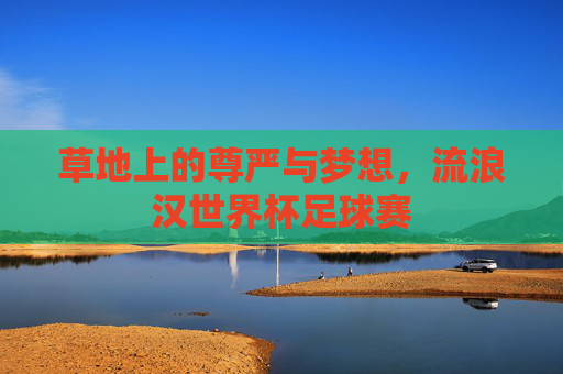 草地上的尊严与梦想,流浪汉世界杯足球赛