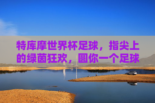 特库摩世界杯足球,指尖上的绿茵狂欢,圆你一个足球梦