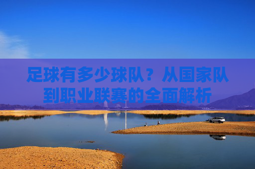 足球有多少球队?从国家队到职业联赛的全面解析