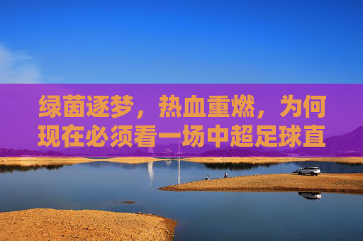 绿茵逐梦，热血重燃，为何现在必须看一场中超足球直播