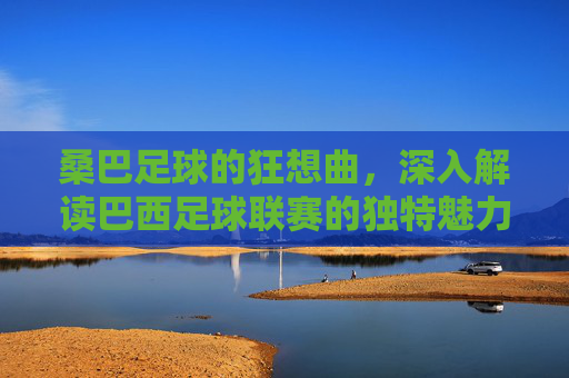 桑巴足球的狂想曲,深入解读巴西足球联赛的独特魅力