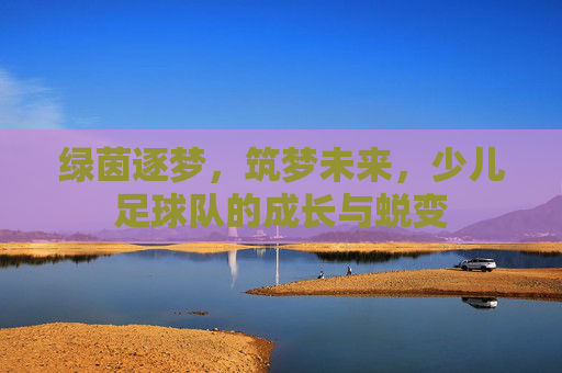 绿茵逐梦，筑梦未来，少儿足球队的成长与蜕变