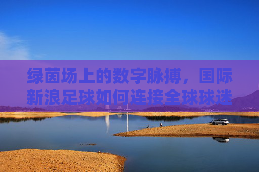 绿茵场上的数字脉搏，国际新浪足球如何连接全球球迷