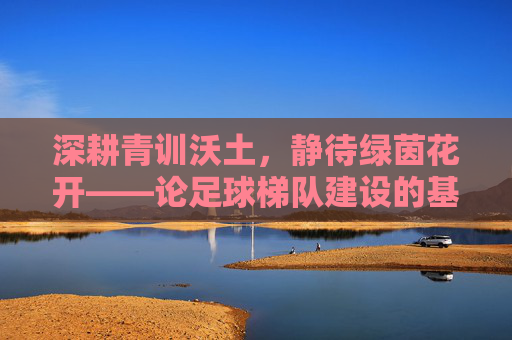 深耕青训沃土,静待绿茵花开——论足球梯队建设的基石与未来